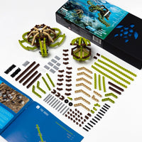 Turtle Building Toy-C-bionic-bluebird baby & kids