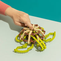 Turtle Building Toy-C-bionic-bluebird baby & kids
