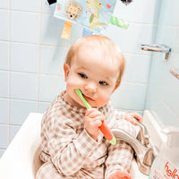 Baby Animals Brushing Teeth Dental Crinkle Tag Toy Teether