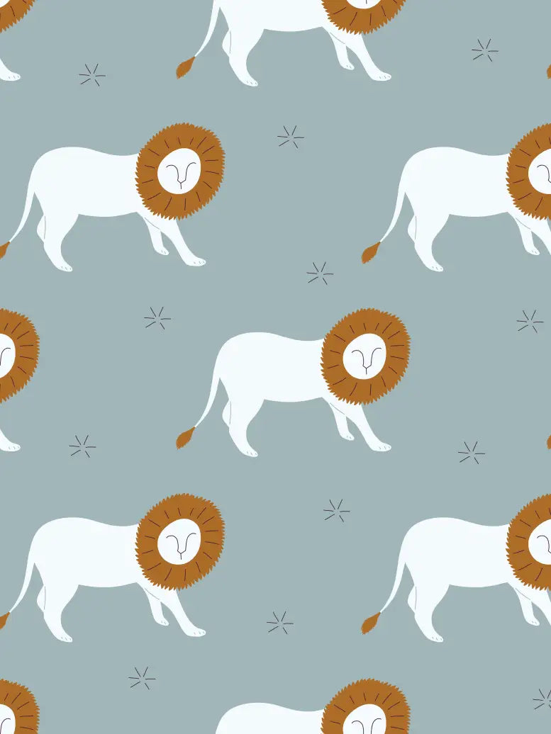 You're My Mane Squeeze Lion - Baby Newborn Take Me Home Set