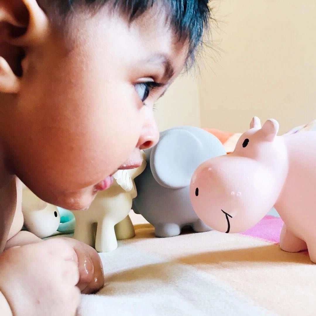 Hippo - Natural Organic Rubber Teether, Rattle & Bath Toy