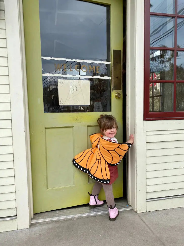 Monarch Butterfly Wings