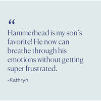 Hammerhead's Recess Challenge - Conflict Resolution