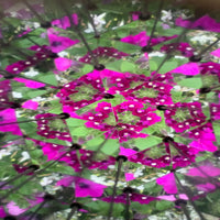 Huckleberry DIY Kaleidoscope