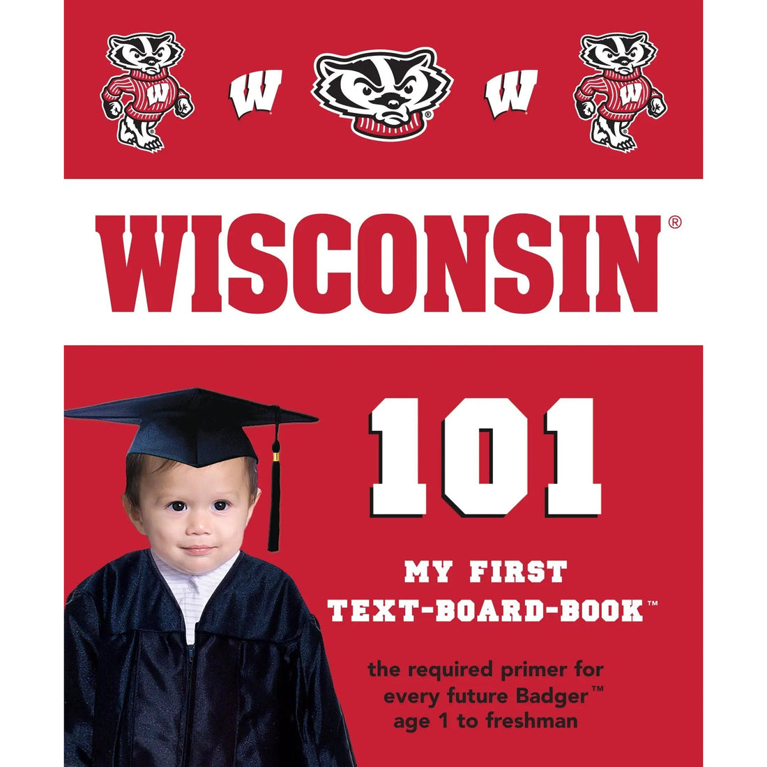 University of Wisconsin 101