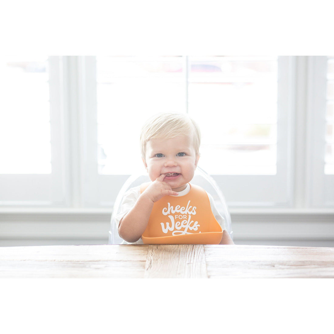 Cheeks for Weeks Wonder Bib-Bibs-Bella Tunno-bluebird baby & kids