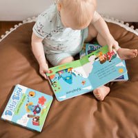Ditty Bird Music Box and Toy gift set-Baby Activity Toys-Ditty Bird-bluebird baby & kids