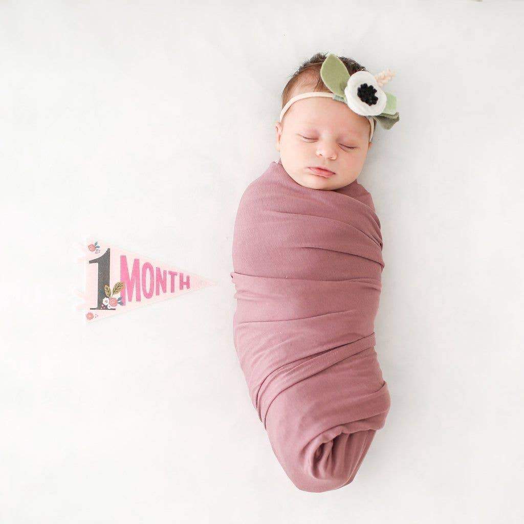 Little Artist Petit Milestone Pennant-Accessories-Lucy Darling-bluebird baby & kids