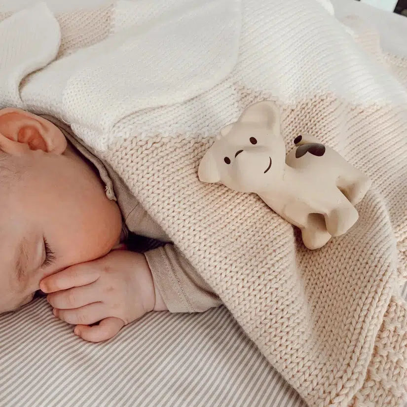 Puppy - Natural Organic Rubber Teether, Rattle & Bath Toy-Teethers-Tikiri Toys LLC-Tan-bluebird baby & kids