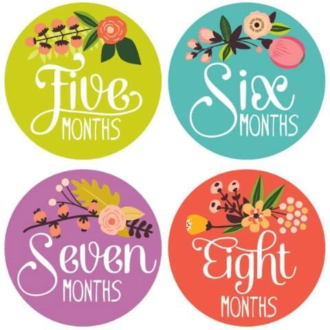 Little Artist Milestone Stickers
