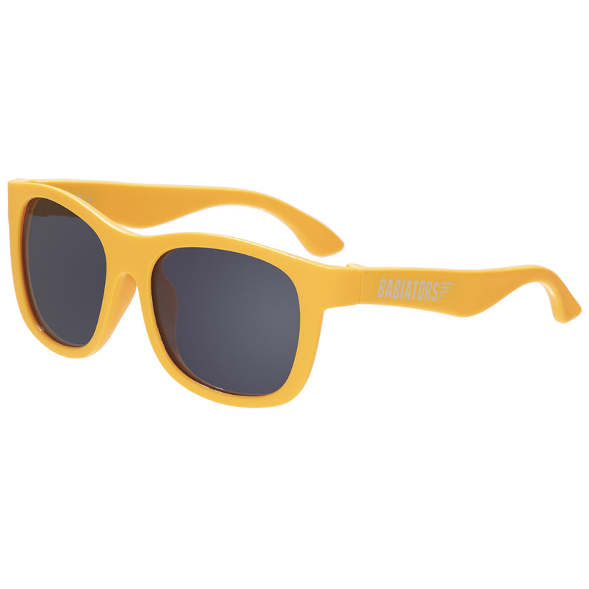 Navigator Sunglasses
